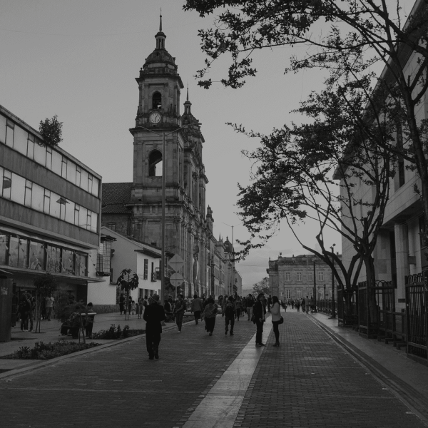 Icono de fe y herencia: la majestuosa Catedral de la Plaza de Bolívar en blanco y negro.